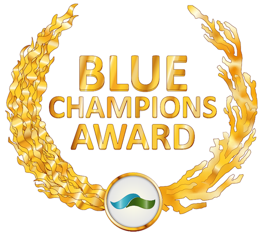 Blue Champions Award Winner No.1